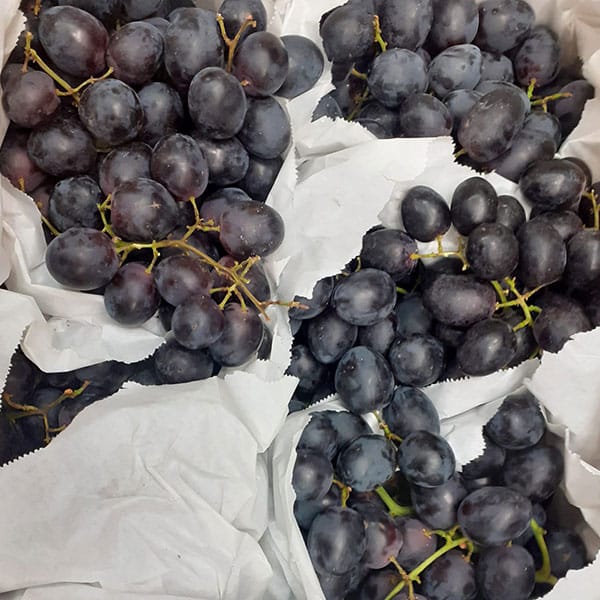 vendita-uva-nera vendita-uva-nera