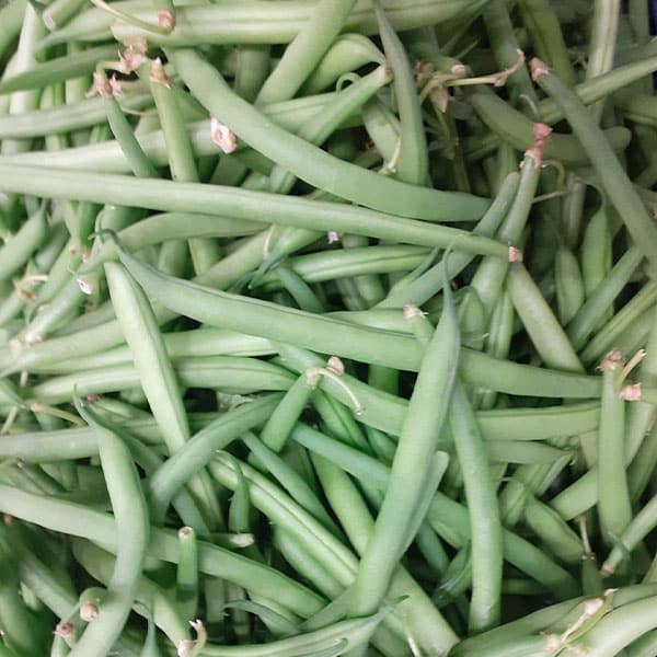 verdura-a-semi-leguminosa-milano verdura-a-semi-leguminosa-milano