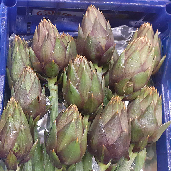 verdure-a-fiore-carciofo-vendita verdure-a-fiore-carciofo-vendita