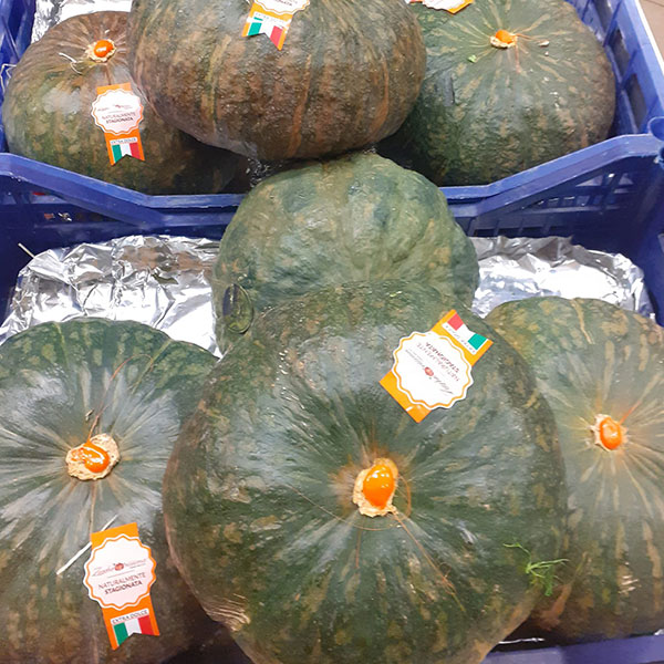 zucca-delica-buona zucca-delica-buona